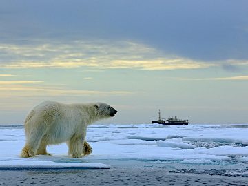 Zdjęcie kierunku: Longyearbyen